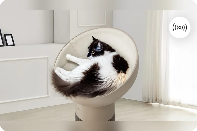 LG PuriCare AS25GCBZ0 sensing warmth mode with a cat resting in the dome seat