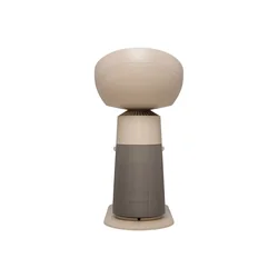 LG PuriCare Air Purifier AeroCatTower AS25GCBZ0 Brown