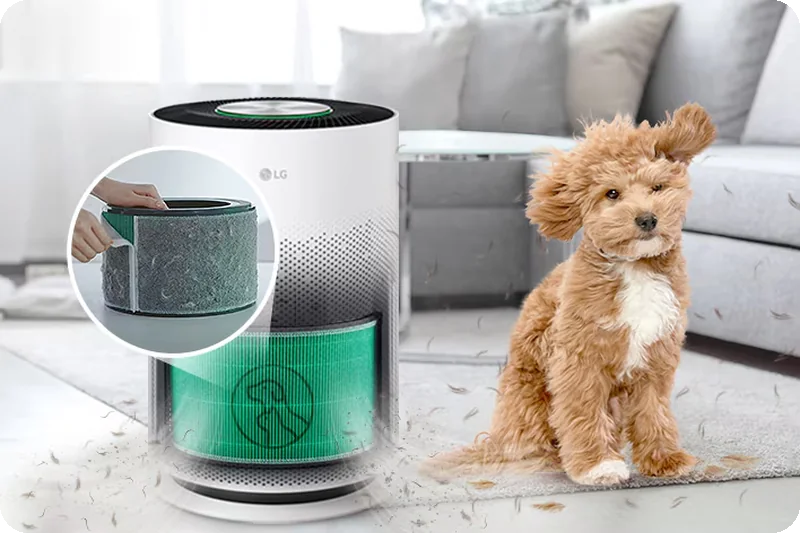LG PuriCare AS60GHBT0 Pet Mode captures low-lying pet hair