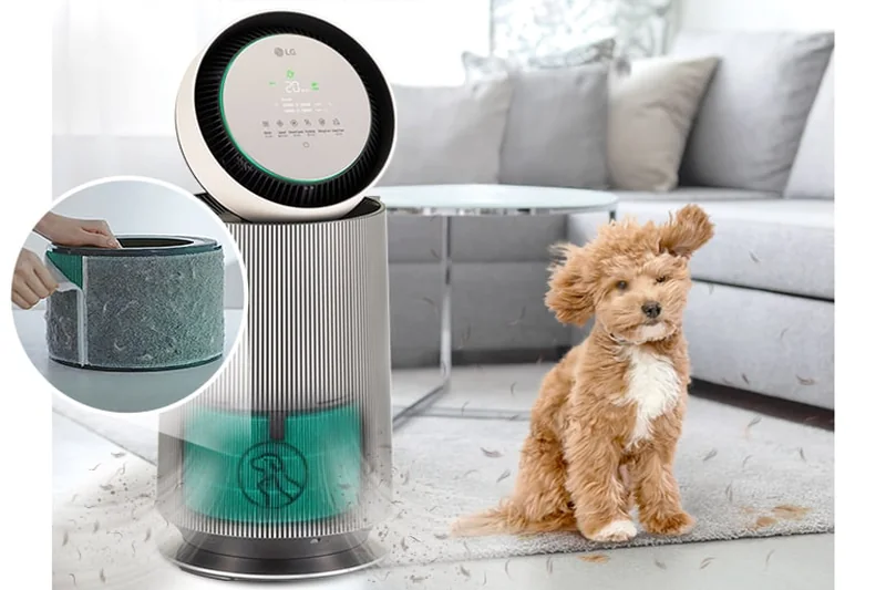 LG PuriCare AS65GDBY0 Pet Mode capturing low-lying pet hair