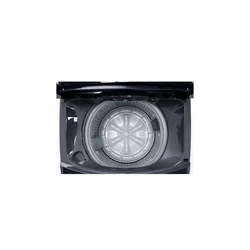 LG Top Loader Washing Machine V+ H300T 17kg TV2517DV3B Platinum Black